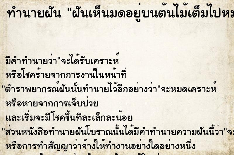 ทำนายฝัน ฝันเห็นมดอยู่บนต้นไม้เต็มไปหมด