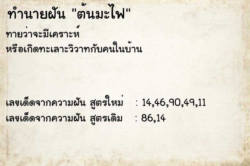 ทำนายฝัน ต้นมะไฟ