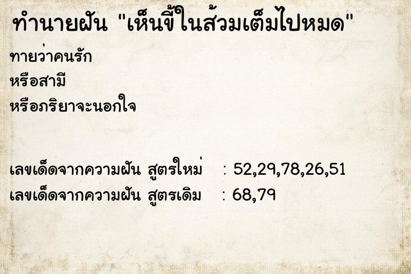 ทำนายฝัน เห็นขี้ในส้วมเต็มไปหมด