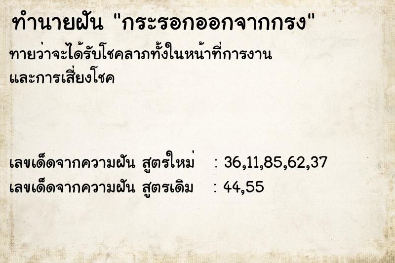 ทำนายฝัน กระรอกออกจากกรง  เลขนำโชค 