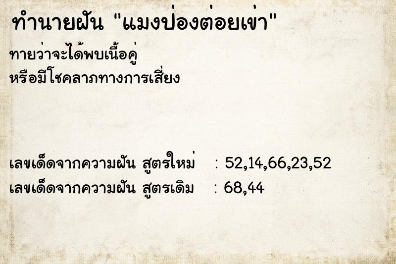 ทำนายฝัน แมงป่องต่อยเข่า