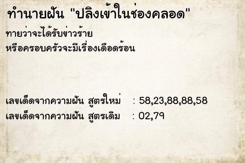 ทำนายฝัน ปลิงเข้าในช่องคลอด