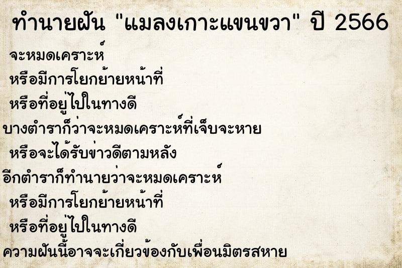 ทำนายฝัน แมลงเกาะแขนขวา