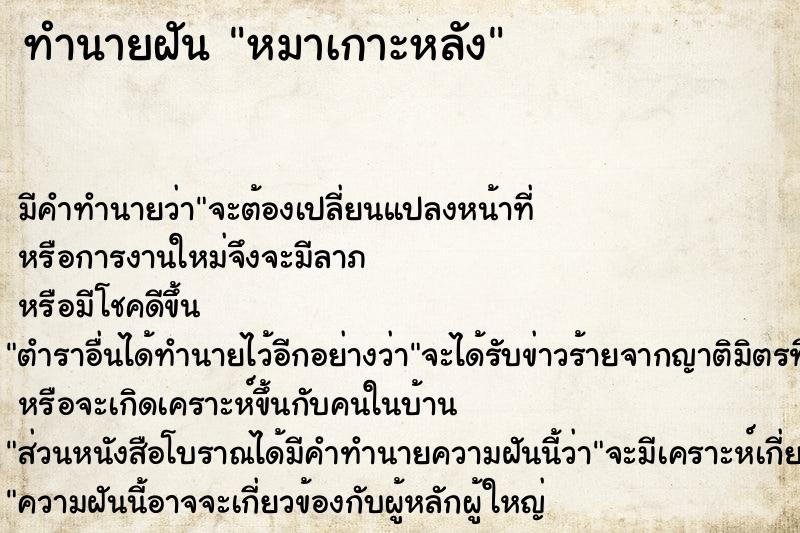 ทำนายฝัน หมาเกาะหลัง