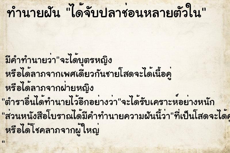 ทำนายฝัน ได้จับปลาช่อนหลายตัวใน