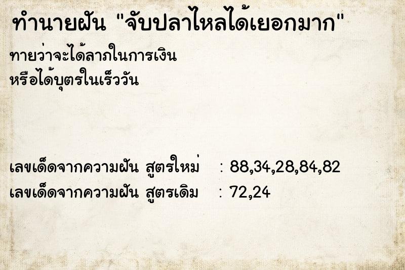 ทำนายฝัน จับปลาไหลได้เยอกมาก