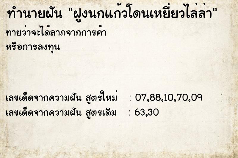 ทำนายฝัน ฝูงนกแก้วโดนเหยี่ยวไล่ล่า