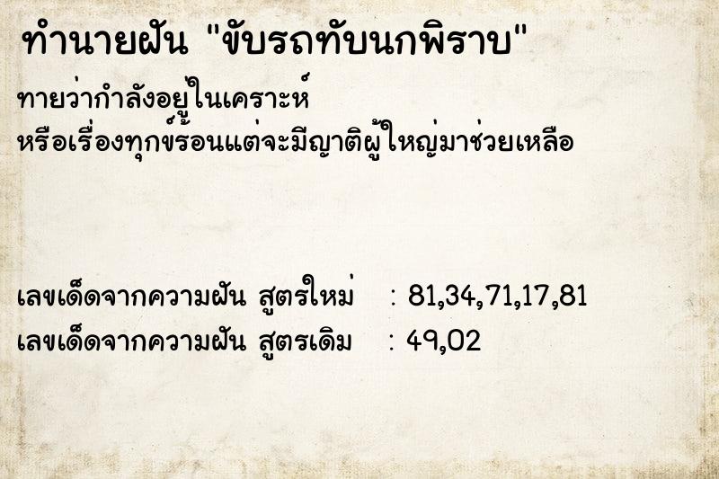 ทำนายฝัน ขับรถทับนกพิราบ