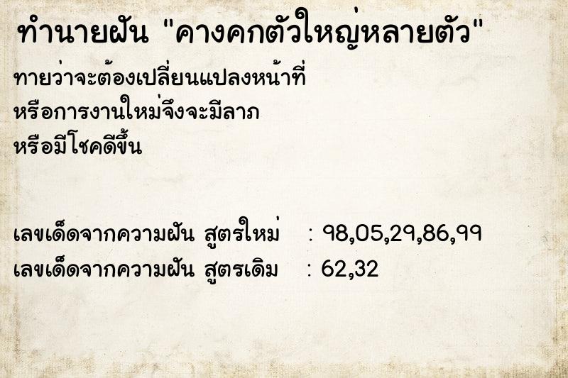 ทำนายฝัน คางคกตัวใหญ่หลายตัว  เลขนำโชค 