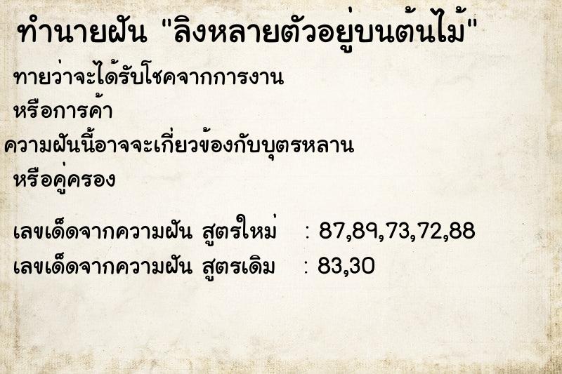 ทำนายฝัน #ทำนายฝัน #ลิงหลายตัวอยู่บนต้นไม้  เลขนำโชค 