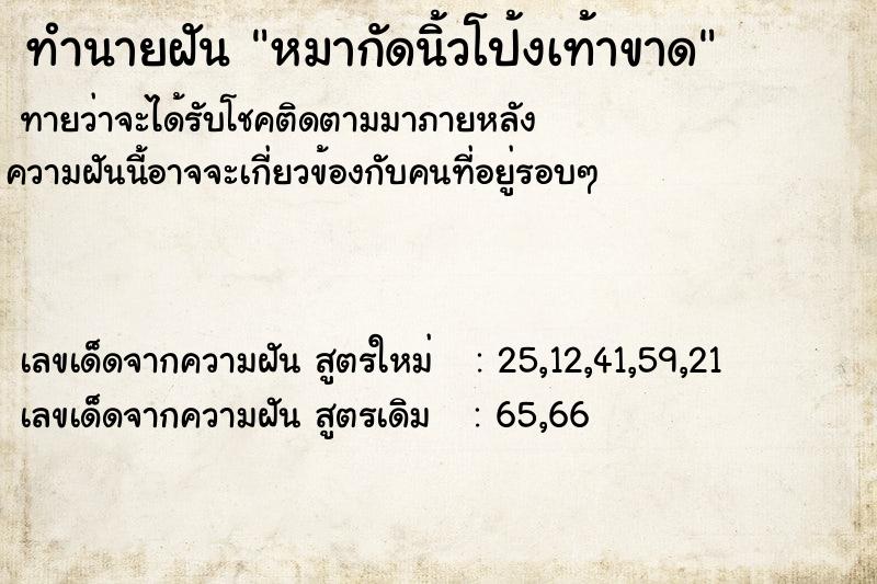 ทำนายฝัน หมากัดนิ้วโป้งเท้าขาด