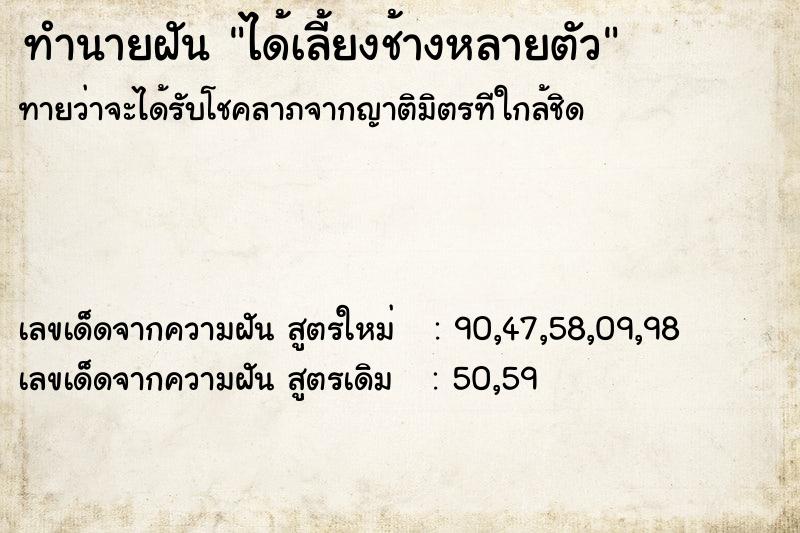 ทำนายฝัน ได้เลี้ยงช้างหลายตัว