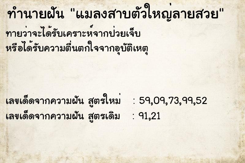 ทำนายฝัน แมลงสาบตัวใหญ่ลายสวย