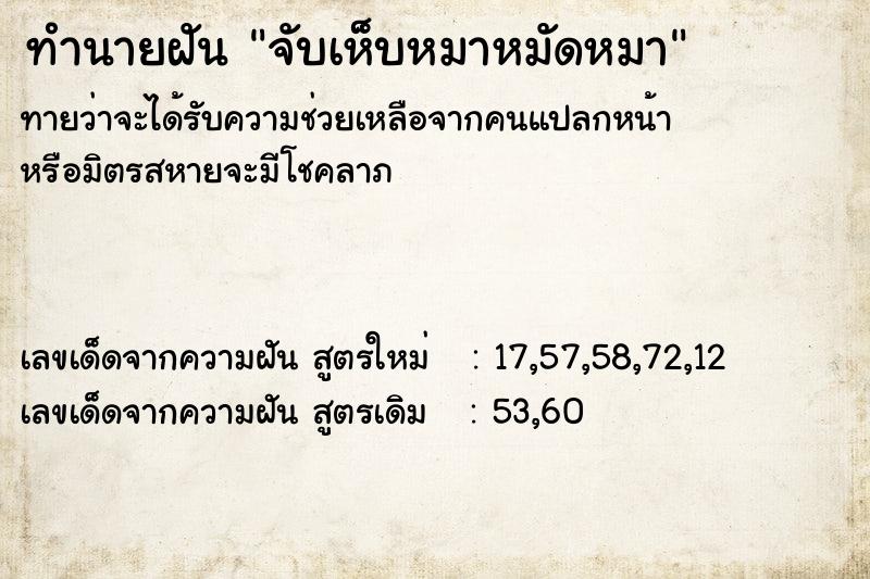 ทำนายฝัน จับเห็บหมาหมัดหมา