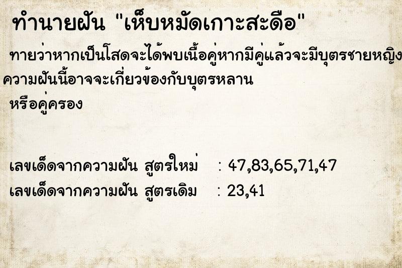 ทำนายฝัน เห็บหมัดเกาะสะดือ