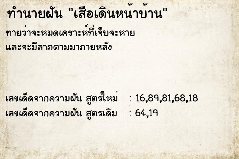 ทำนายฝัน เสือเดินหน้าบ้าน