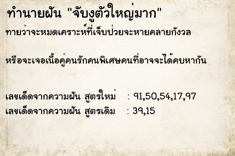 ทำนายฝัน จับงูตัวใหญ่มาก  เลขนำโชค 