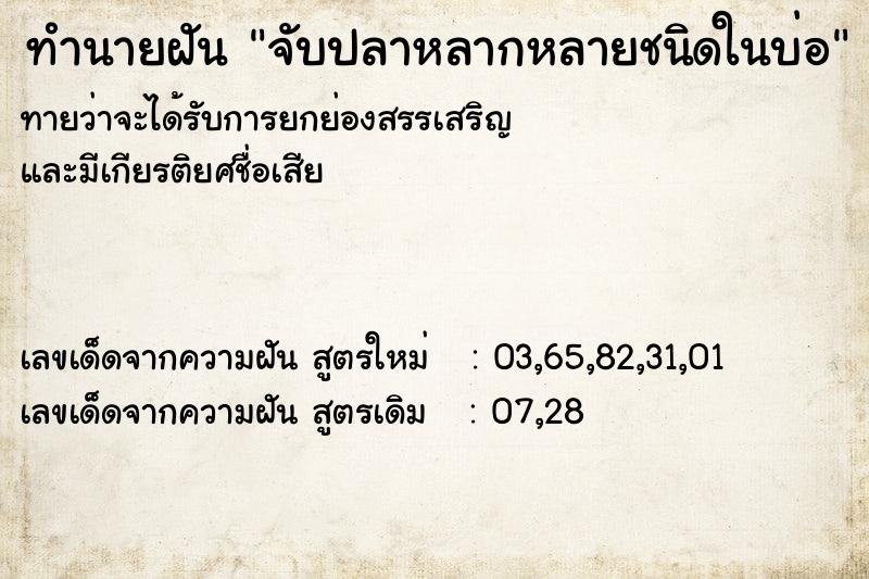 ทำนายฝัน จับปลาหลากหลายชนิดในบ่อ