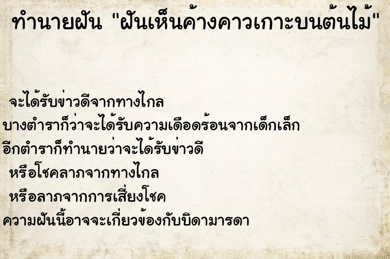 ทำนายฝัน ฝันเห็นค้างคาวเกาะบนต้นไม้