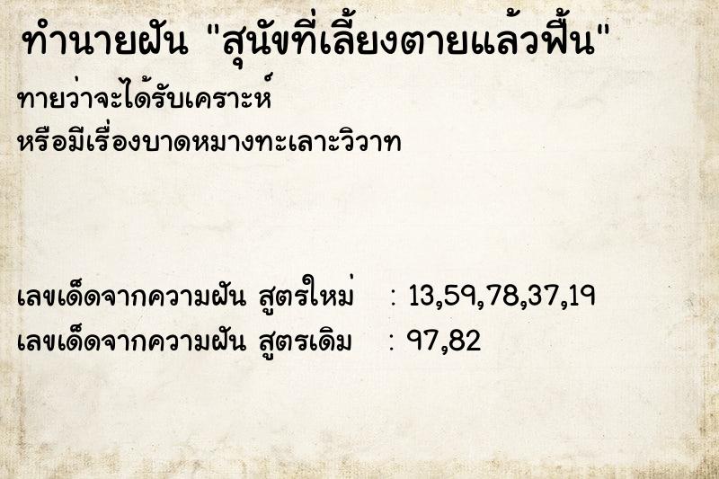 ทำนายฝัน สุนัขที่เลี้ยงตายแล้วฟื้น