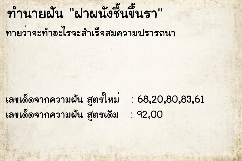 ทำนายฝัน ฝาผนังชื้นขึ้นรา