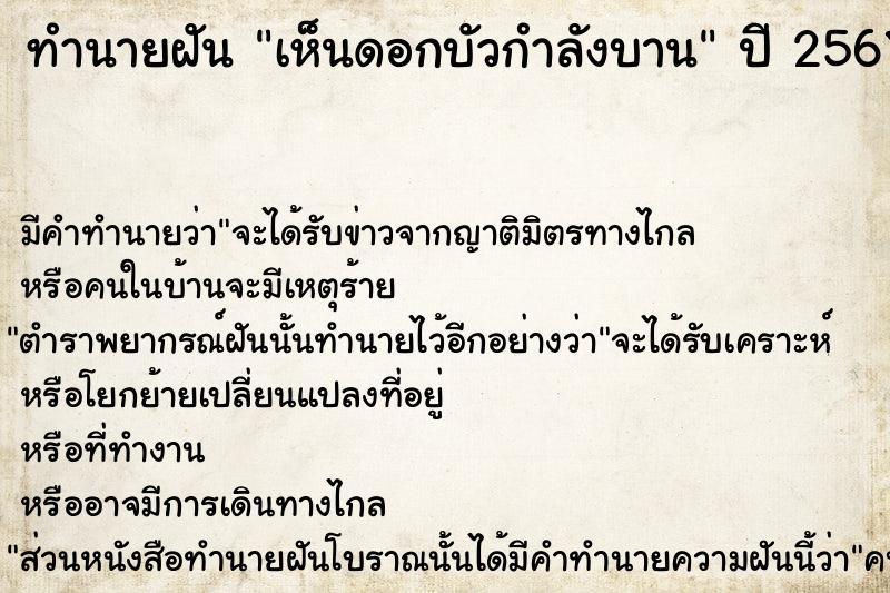 ทำนายฝัน เห็นดอกบัวกำลังบาน  เลขนำโชค 