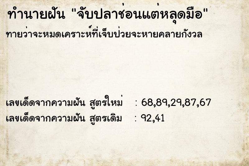 ทำนายฝัน จับปลาช่อนแต่หลุดมือ