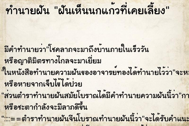 ทำนายฝัน ฝันเห็นนกแก้วที่เคยเลี้ยง