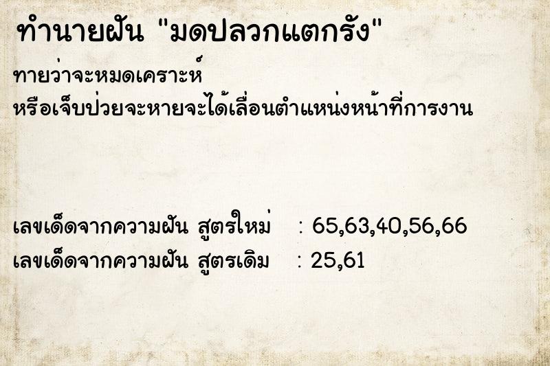 ทำนายฝัน มดปลวกแตกรัง