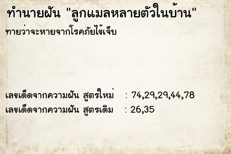 ทำนายฝัน ลูกแมลหลายตัวในบ้าน