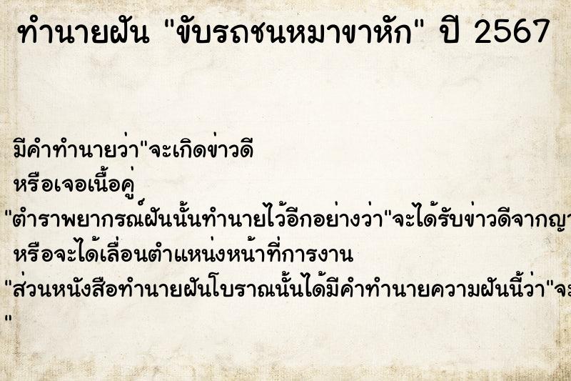 ทำนายฝัน ขับรถชนหมาขาหัก