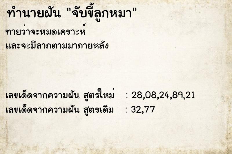 ทำนายฝัน จับขี้ลูกหมา