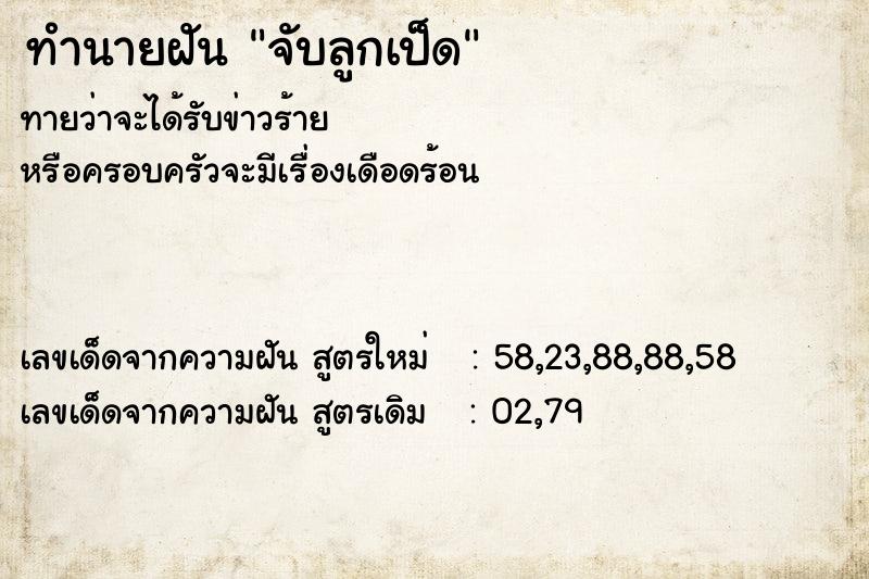 ทำนายฝัน จับลูกเป็ด