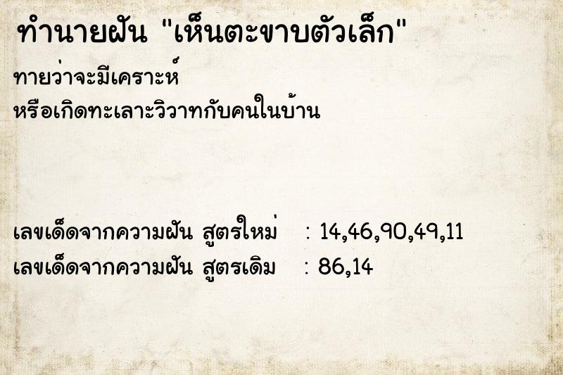 ทำนายฝัน เห็นตะขาบตัวเล็ก  เลขนำโชค 