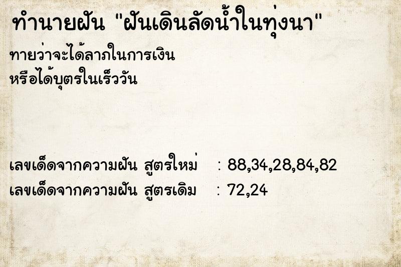 ทำนายฝัน ฝันเดินลัดน้ำในทุ่งนา  เลขนำโชค 