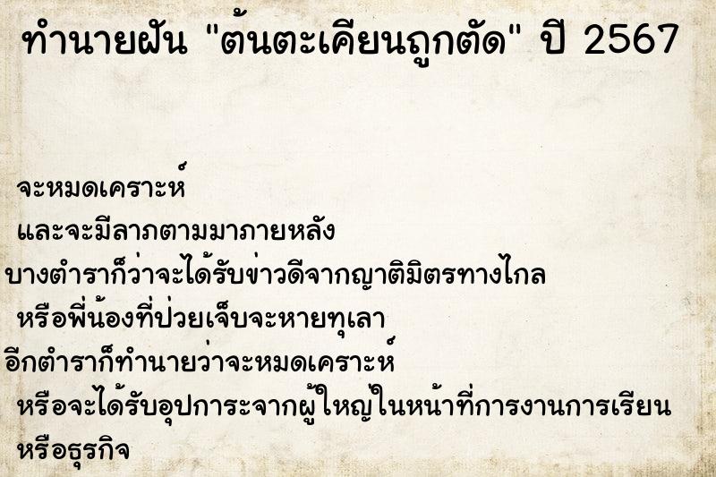 ทำนายฝัน ต้นตะเคียนถูกตัด  เลขนำโชค 