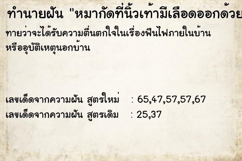 ทำนายฝัน หมากัดที่นิ้วเท้ามีเลือดออกด้วย