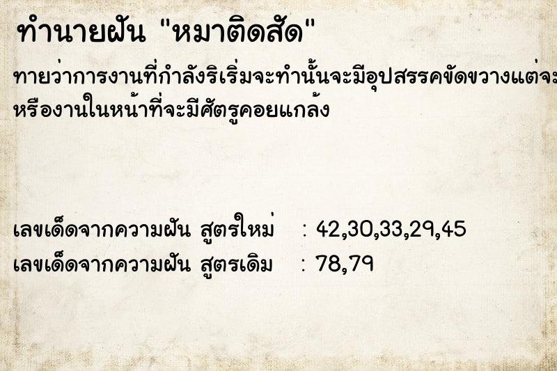 ทำนายฝัน หมาติดสัด