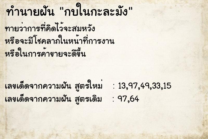 ทำนายฝัน กบในกะละมัง  เลขนำโชค 