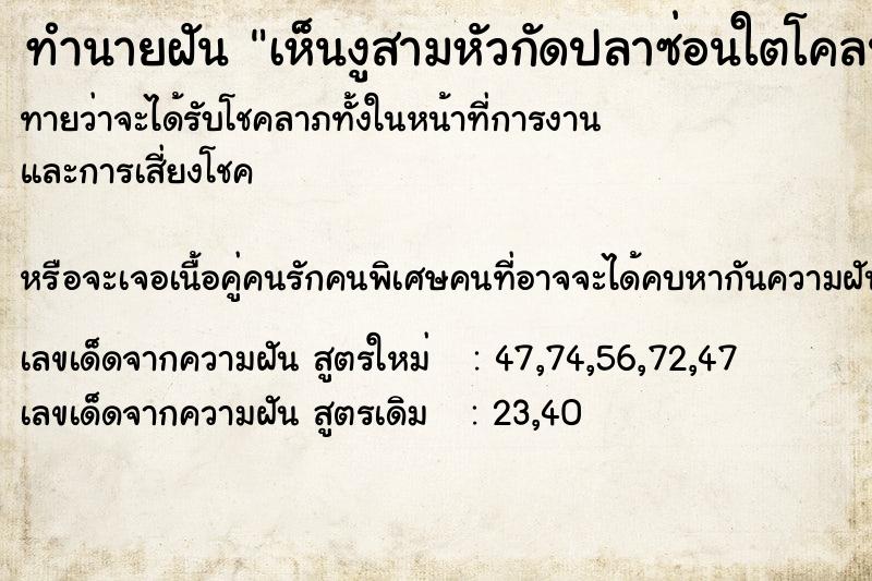 ทำนายฝัน เห็นงูสามหัวกัดปลาซ่อนใตโคลนตม