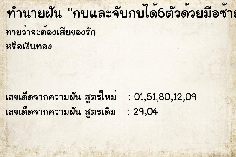 ทำนายฝัน กบและจับกบได้6ตัวด้วยมือซ้าย-ขวา