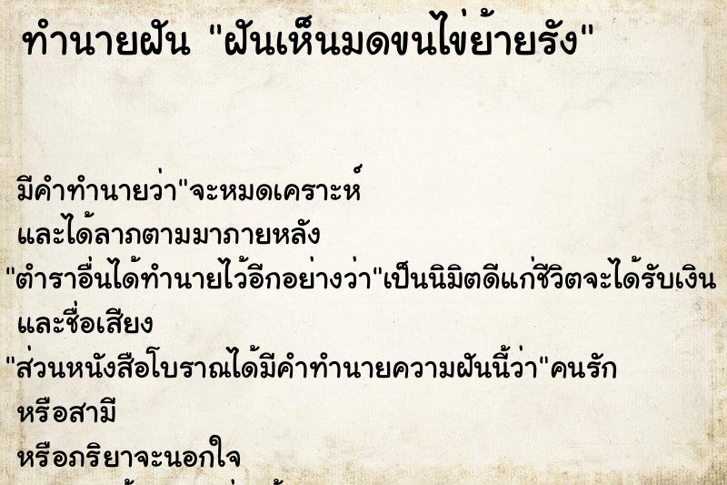 ทำนายฝัน ฝันเห็นมดขนไข่ย้ายรัง