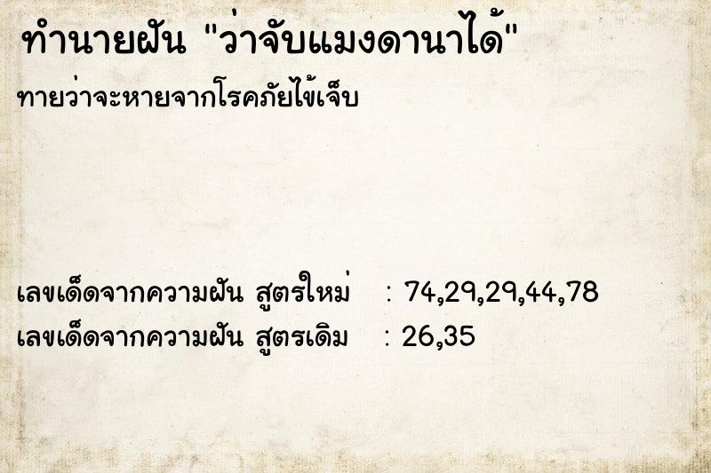 ทำนายฝัน ว่าจับแมงดานาได้