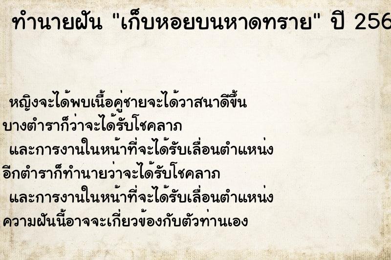 ทำนายฝัน เก็บหอยบนหาดทราย