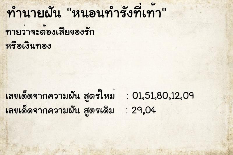 ทำนายฝัน หนอนทำรังที่เท้า