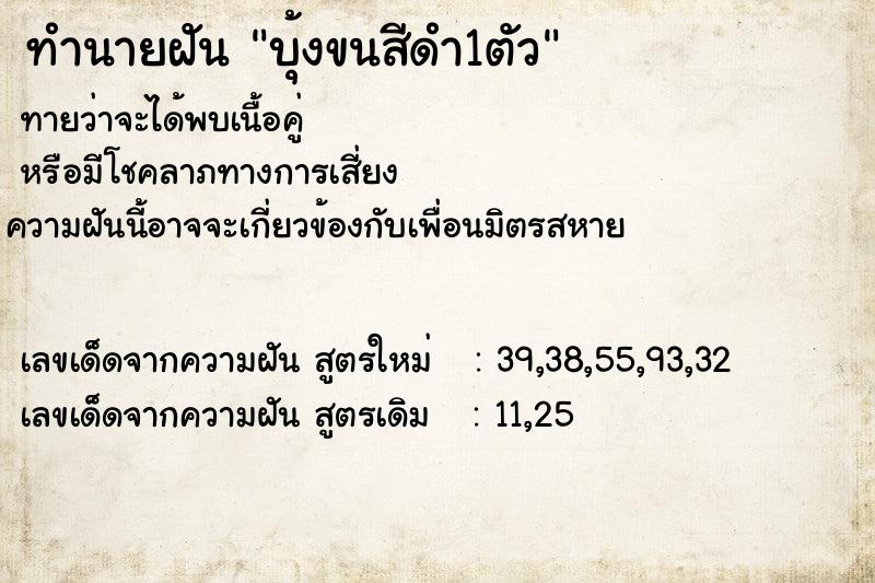 ทำนายฝัน บุ้งขนสีดำ1ตัว