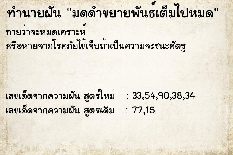 ทำนายฝัน มดดำขยายพันธ์เต็มไปหมด