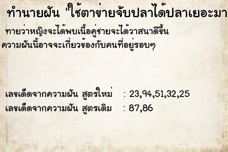 ทำนายฝัน ใช้ตาข่ายจับปลาได้ปลาเยอะมาก