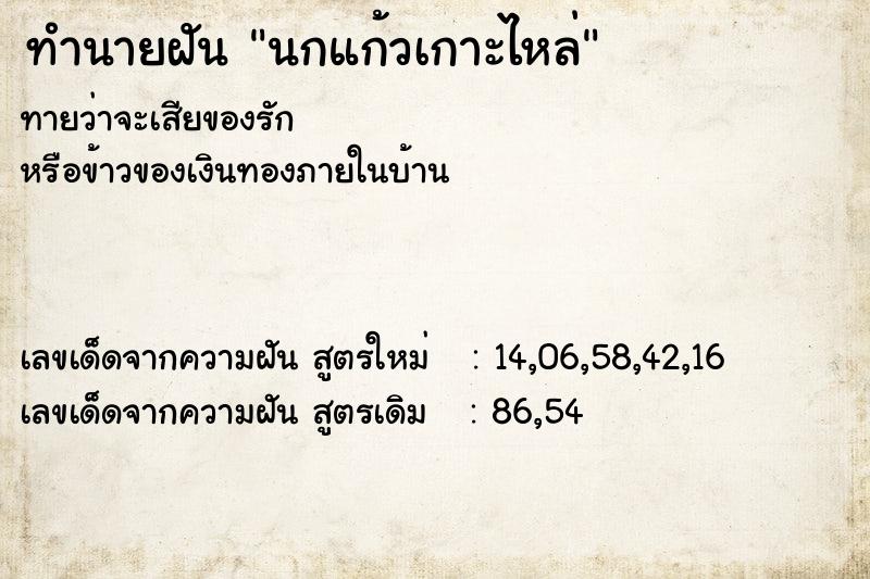 ทำนายฝัน นกแก้วเกาะไหล่  เลขนำโชค 