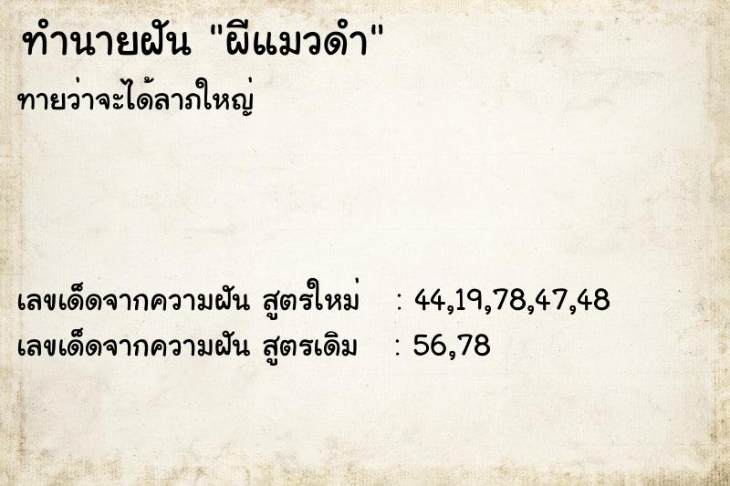 ทำนายฝัน ผีแมวดำ